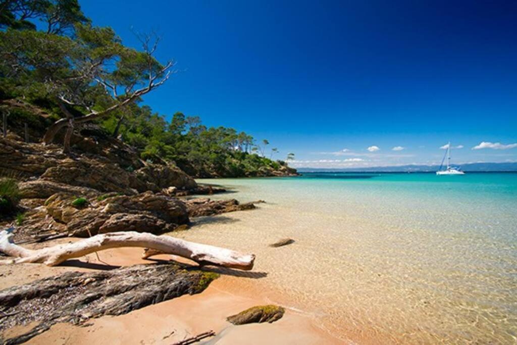 Saint-Elme Studio Zen Sud Plage A Pied Pin Rolland Sablettes מראה חיצוני תמונה